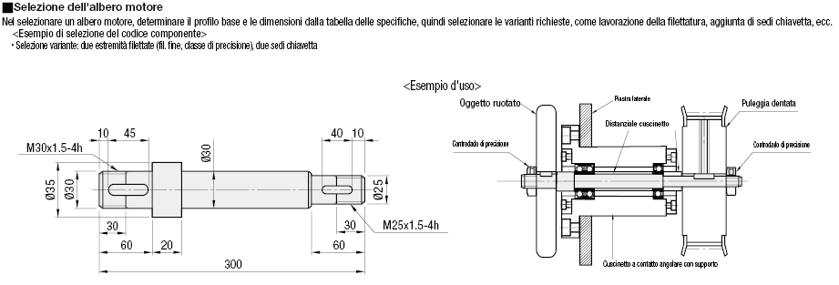 Alberi motore/Gradino su un lato con flangia:Immagine relativa