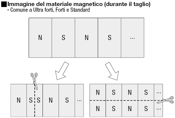 Magneti/Flessibili/in rotolo:Immagine relativa