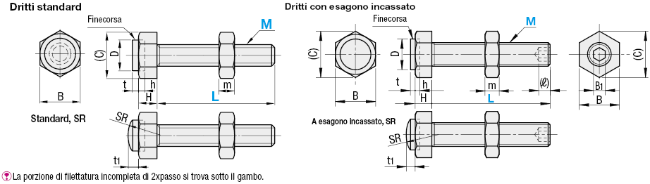 Bulloni finecorsa con smorzatori/Standard/dritti:Immagine relativa
