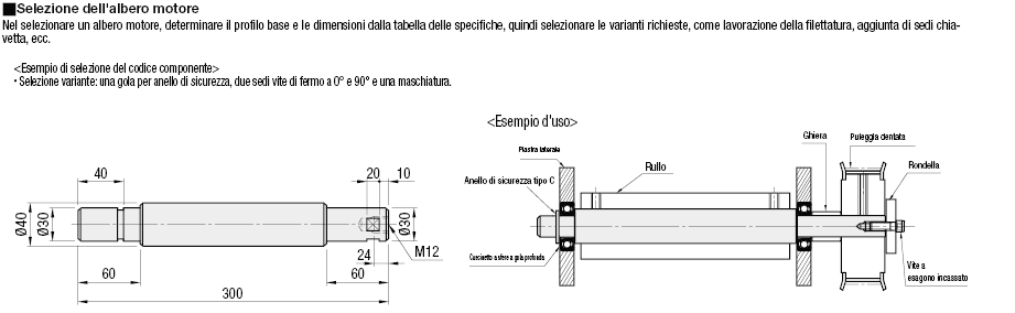 Alberi motore/Gradino sui due lati:Immagine relativa