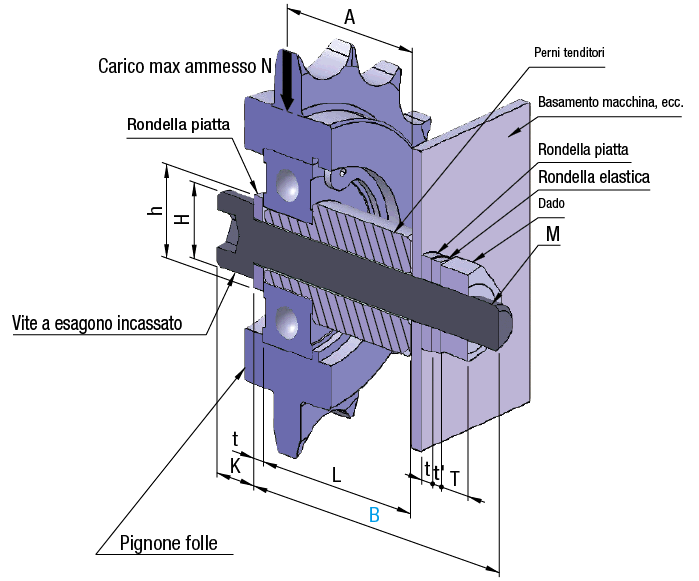 Perni tenditori:Immagine relativa