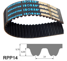 Cinghia dentata / RPP8, RPP14 / CR (neoprene) / fibra di vetro / MEGADYNE  1224-GLD8-36