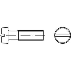 Vite a testa cilindrica con intaglio in plastica DIN 84
