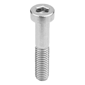 Viti a brugola con testa bassa DIN 6912, acciaio inox (07161)