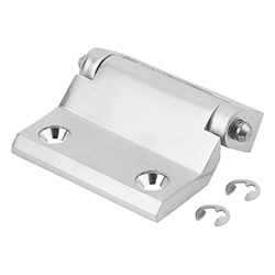 Cerniera, acciaio inox (27876-02)