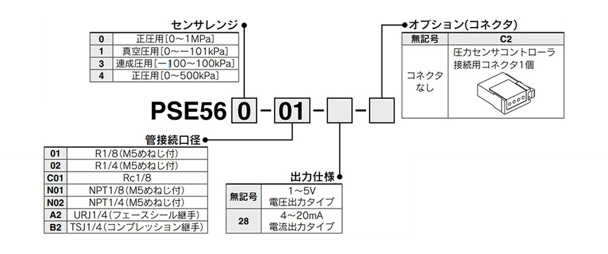 Model number example